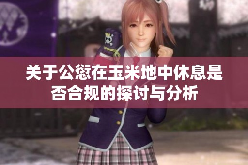 关于公愆在玉米地中休息是否合规的探讨与分析