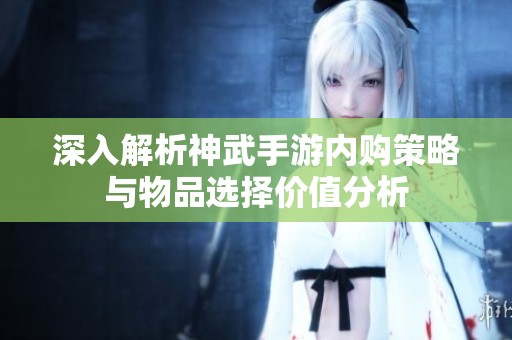 深入解析神武手游内购策略与物品选择价值分析