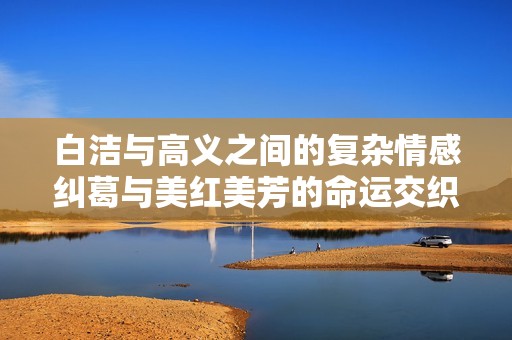 白洁与高义之间的复杂情感纠葛与美红美芳的命运交织