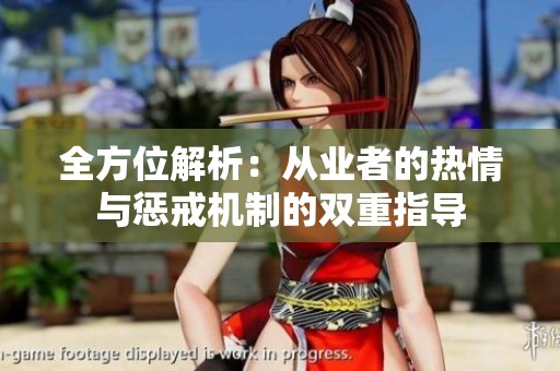 全方位解析：从业者的热情与惩戒机制的双重指导