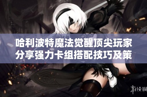 哈利波特魔法觉醒顶尖玩家分享强力卡组搭配技巧及策略揭秘