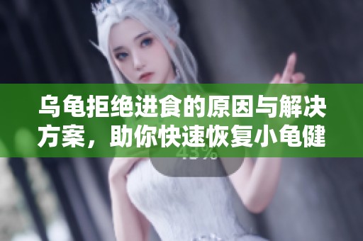 乌龟拒绝进食的原因与解决方案，助你快速恢复小龟健康饮食习惯
