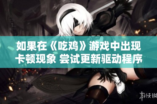 如果在《吃鸡》游戏中出现卡顿现象 尝试更新驱动程序或许能有效解决问题