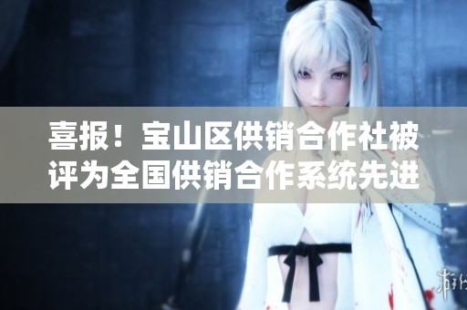 喜报！宝山区供销合作社被评为全国供销合作系统先进集体成就喜人