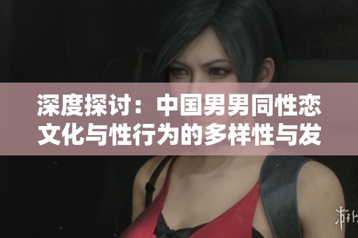 深度探讨：中国男男同性恋文化与性行为的多样性与发展