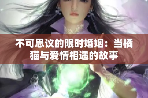 不可思议的限时婚姻：当橘猫与爱情相遇的故事