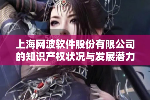 上海网波软件股份有限公司的知识产权状况与发展潜力分析报告