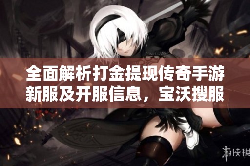 全面解析打金提现传奇手游新服及开服信息，宝沃搜服网为您提供最新动态