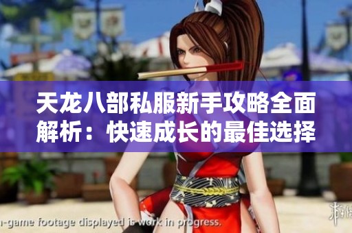 天龙八部私服新手攻略全面解析：快速成长的最佳选择与建议揭秘