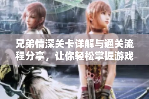兄弟情深关卡详解与通关流程分享，让你轻松掌握游戏技巧与秘诀