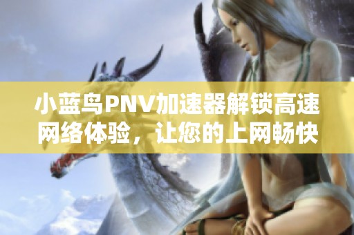 小蓝鸟PNV加速器解锁高速网络体验，让您的上网畅快无阻的终极解决方案
