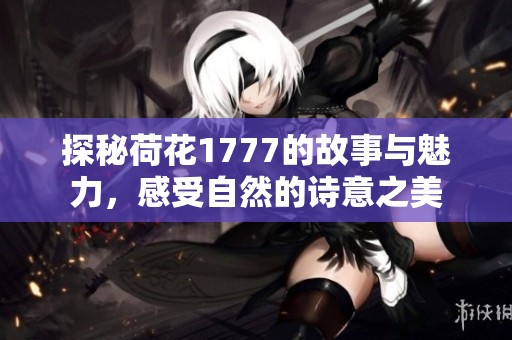 探秘荷花1777的故事与魅力，感受自然的诗意之美