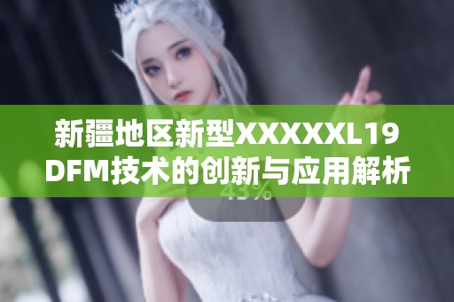 新疆地区新型XXXXXL19DFM技术的创新与应用解析