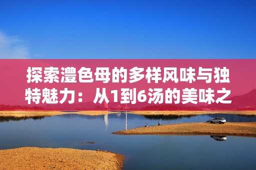 探索澧色母的多样风味与独特魅力：从1到6汤的美味之旅