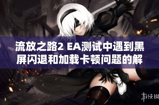 流放之路2 EA测试中遇到黑屏闪退和加载卡顿问题的解决办法详细解析