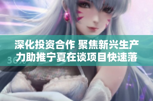 深化投资合作 聚焦新兴生产力助推宁夏在谈项目快速落地与发展