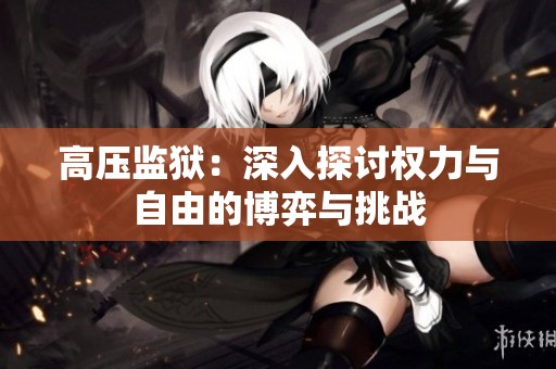 高压监狱：深入探讨权力与自由的博弈与挑战