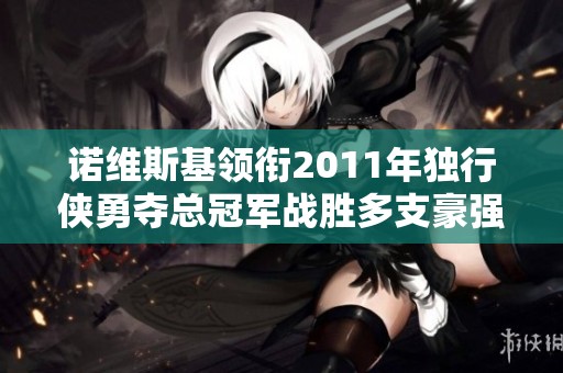 诺维斯基领衔2011年独行侠勇夺总冠军战胜多支豪强球队