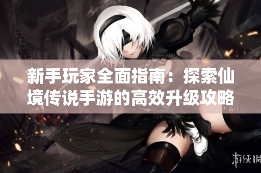 新手玩家全面指南：探索仙境传说手游的高效升级攻略与成长路径