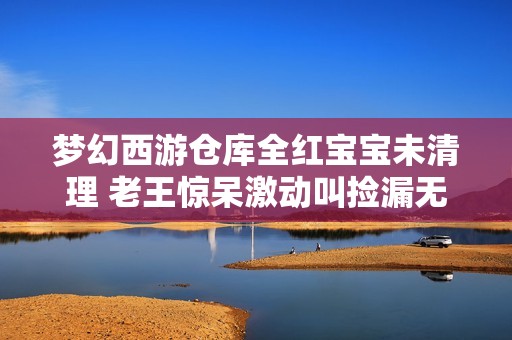 梦幻西游仓库全红宝宝未清理 老王惊呆激动叫捡漏无级别取号实锤揭秘