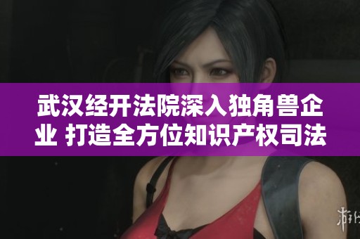 武汉经开法院深入独角兽企业 打造全方位知识产权司法保护服务链