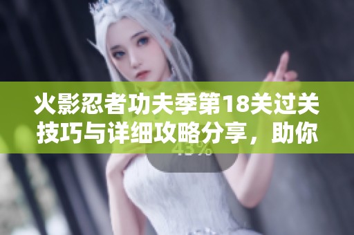 火影忍者功夫季第18关过关技巧与详细攻略分享，助你轻松完成挑战