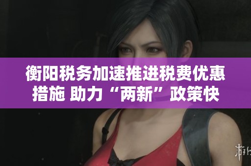 衡阳税务加速推进税费优惠措施 助力“两新”政策快速落地和发展