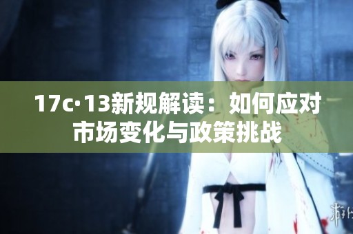 17c·13新规解读：如何应对市场变化与政策挑战