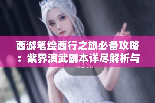 西游笔绘西行之旅必备攻略：紫界演武副本详尽解析与策略分享