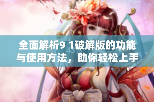 全面解析9 1破解版的功能与使用方法，助你轻松上手