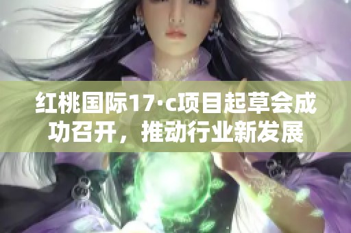 红桃国际17·c项目起草会成功召开，推动行业新发展