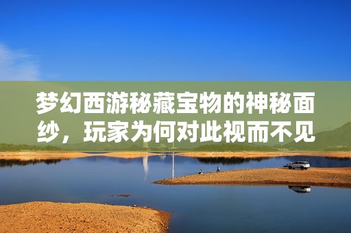 梦幻西游秘藏宝物的神秘面纱，玩家为何对此视而不见的原因解析