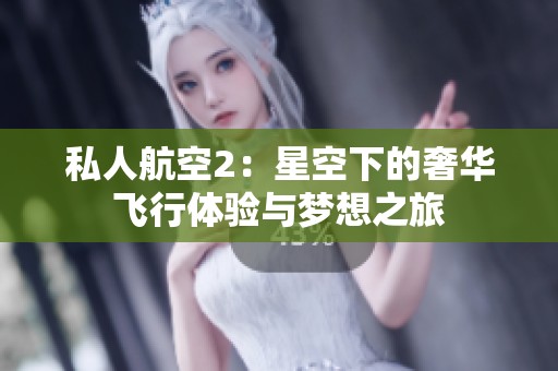 私人航空2：星空下的奢华飞行体验与梦想之旅