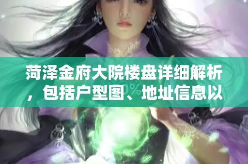 菏泽金府大院楼盘详细解析，包括户型图、地址信息以及周边配套设施介绍