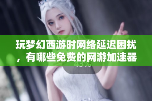玩梦幻西游时网络延迟困扰，有哪些免费的网游加速器推荐呢？
