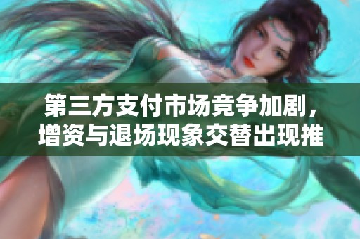 第三方支付市场竞争加剧，增资与退场现象交替出现推动行业洗牌加速