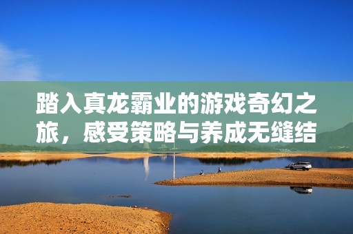踏入真龙霸业的游戏奇幻之旅，感受策略与养成无缝结合的极致体验