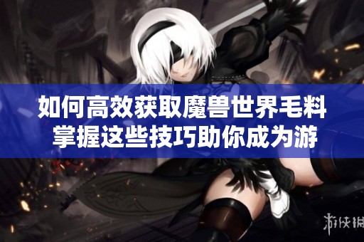 如何高效获取魔兽世界毛料 掌握这些技巧助你成为游戏达人