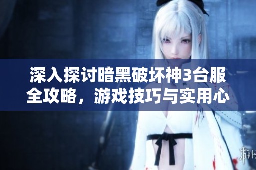 深入探讨暗黑破坏神3台服全攻略，游戏技巧与实用心得分享汇总