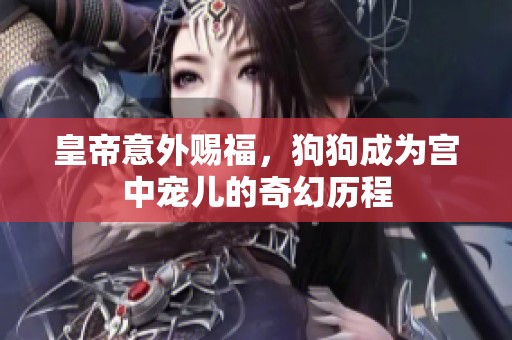 皇帝意外赐福，狗狗成为宫中宠儿的奇幻历程