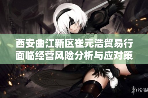 西安曲江新区崔元浩贸易行面临经营风险分析与应对策略探讨