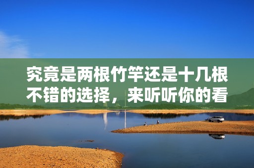 究竟是两根竹竿还是十几根不错的选择，来听听你的看法
