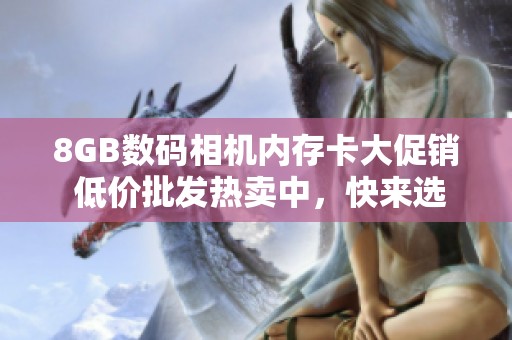8GB数码相机内存卡大促销 低价批发热卖中，快来选购！