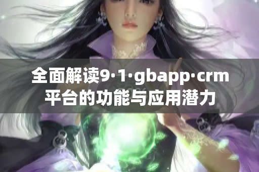 全面解读9·1·gbapp·crm平台的功能与应用潜力
