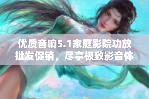 优质音响5.1家庭影院功放批发促销，尽享极致影音体验