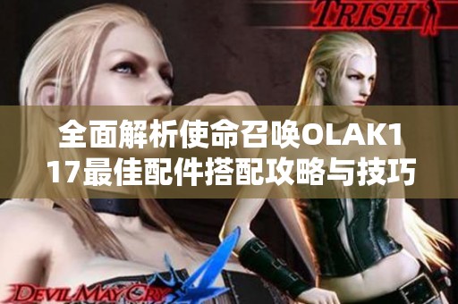 全面解析使命召唤OLAK117最佳配件搭配攻略与技巧