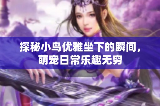 探秘小鸟优雅坐下的瞬间，萌宠日常乐趣无穷