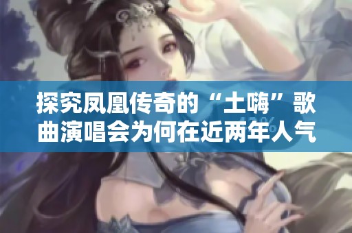 探究凤凰传奇的“土嗨”歌曲演唱会为何在近两年人气飙升