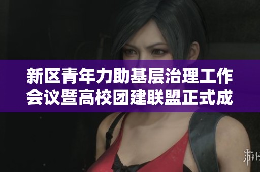 新区青年力助基层治理工作会议暨高校团建联盟正式成立
