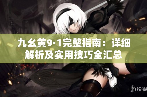 九幺黄9·1完整指南：详细解析及实用技巧全汇总